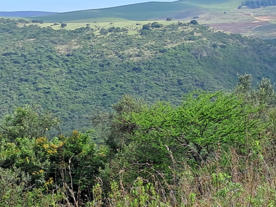 Commercial Property for Sale in Ixopo KwaZulu-Natal