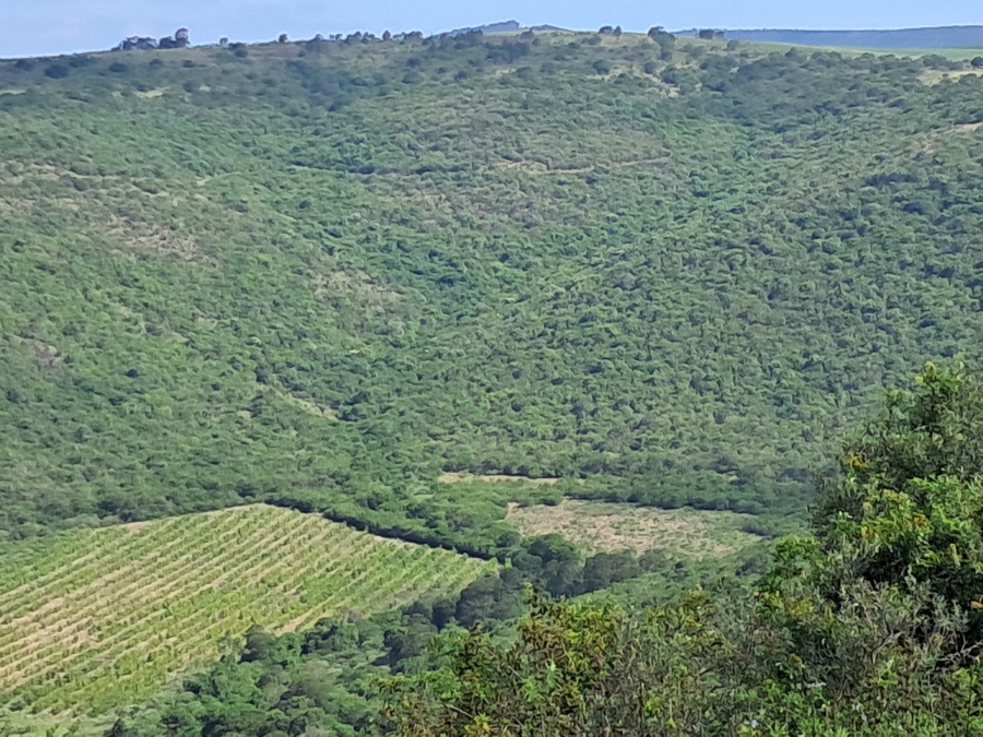 Commercial Property for Sale in Ixopo KwaZulu-Natal