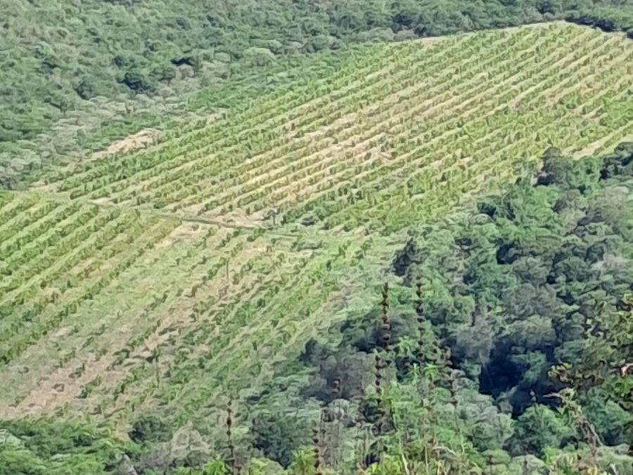 Commercial Property for Sale in Ixopo KwaZulu-Natal