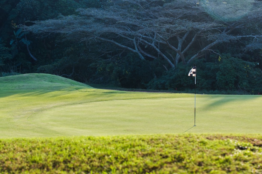 0 Bedroom Property for Sale in Simbithi Eco Estate KwaZulu-Natal