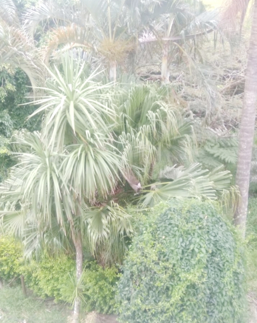 2 Bedroom Property for Sale in Catalina Bay KwaZulu-Natal