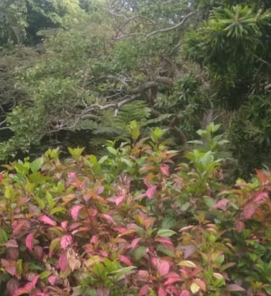 2 Bedroom Property for Sale in Catalina Bay KwaZulu-Natal