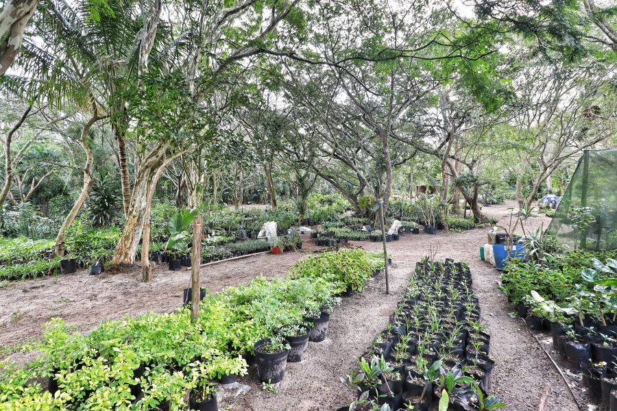 9 Bedroom Property for Sale in St Lucia KwaZulu-Natal