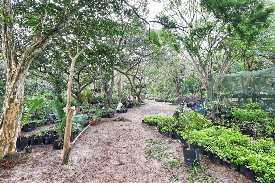 9 Bedroom Property for Sale in St Lucia KwaZulu-Natal