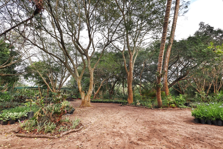 9 Bedroom Property for Sale in St Lucia KwaZulu-Natal