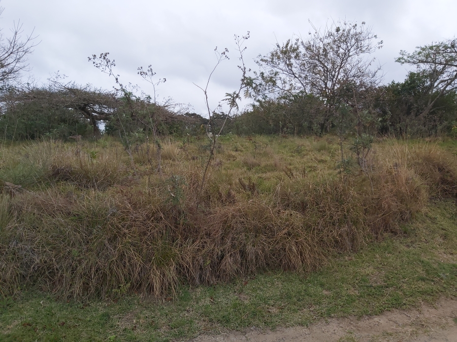 0 Bedroom Property for Sale in Eshowe KwaZulu-Natal
