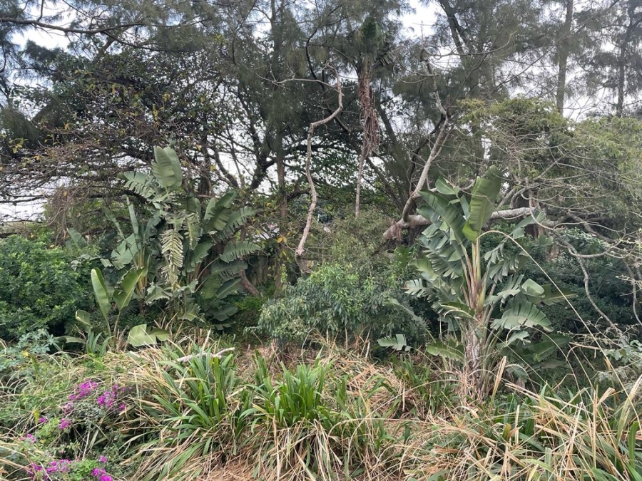 0 Bedroom Property for Sale in Tugela Mouth KwaZulu-Natal