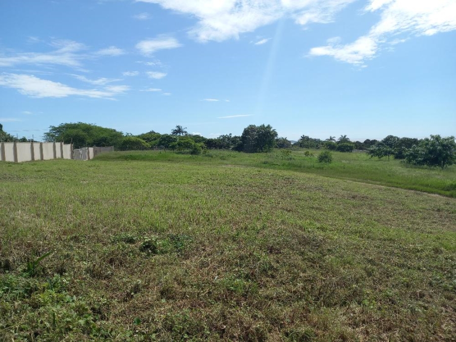 0 Bedroom Property for Sale in Zinkwazi Beach KwaZulu-Natal