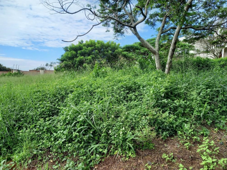 0 Bedroom Property for Sale in Zinkwazi Beach KwaZulu-Natal