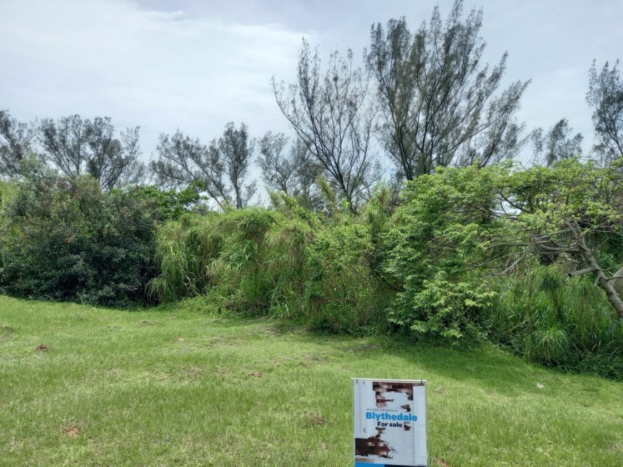 0 Bedroom Property for Sale in Blythedale KwaZulu-Natal