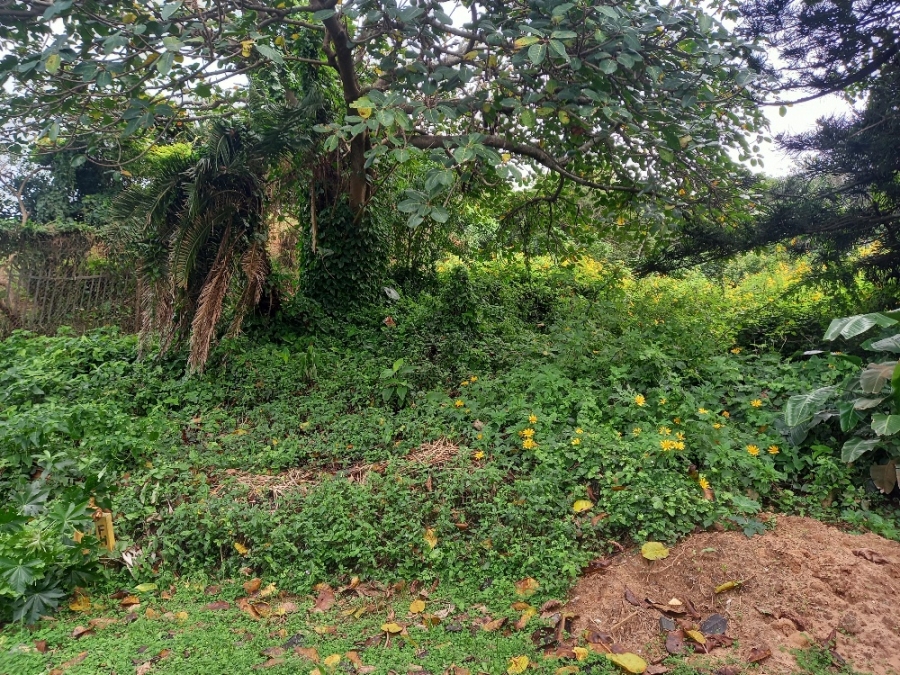 0 Bedroom Property for Sale in Blythedale KwaZulu-Natal