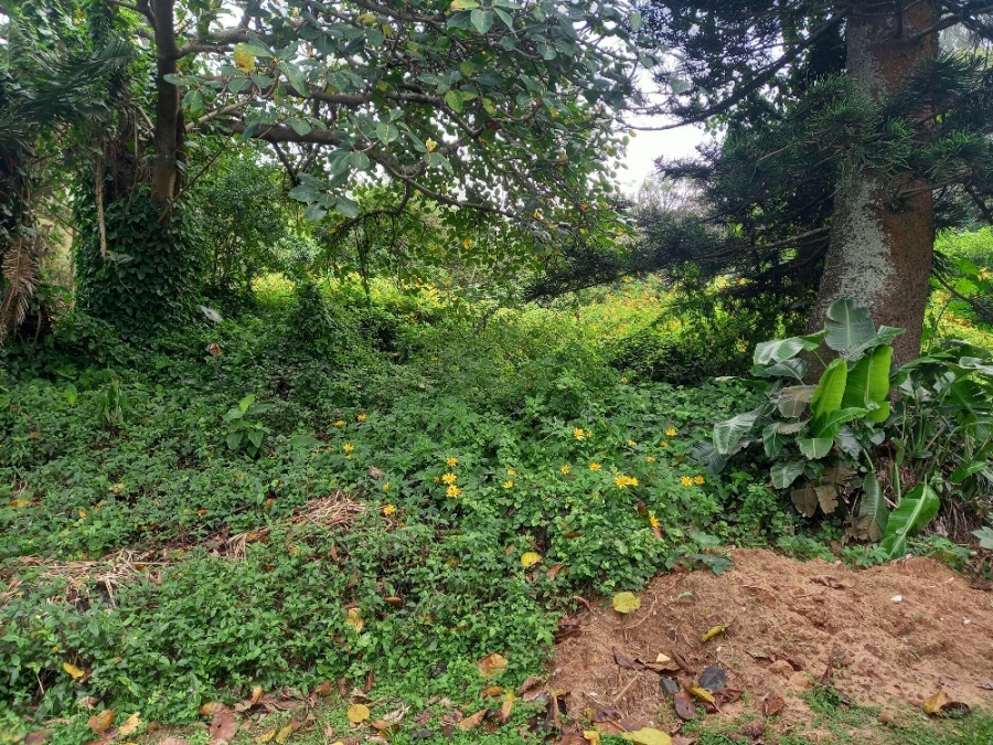 0 Bedroom Property for Sale in Blythedale KwaZulu-Natal