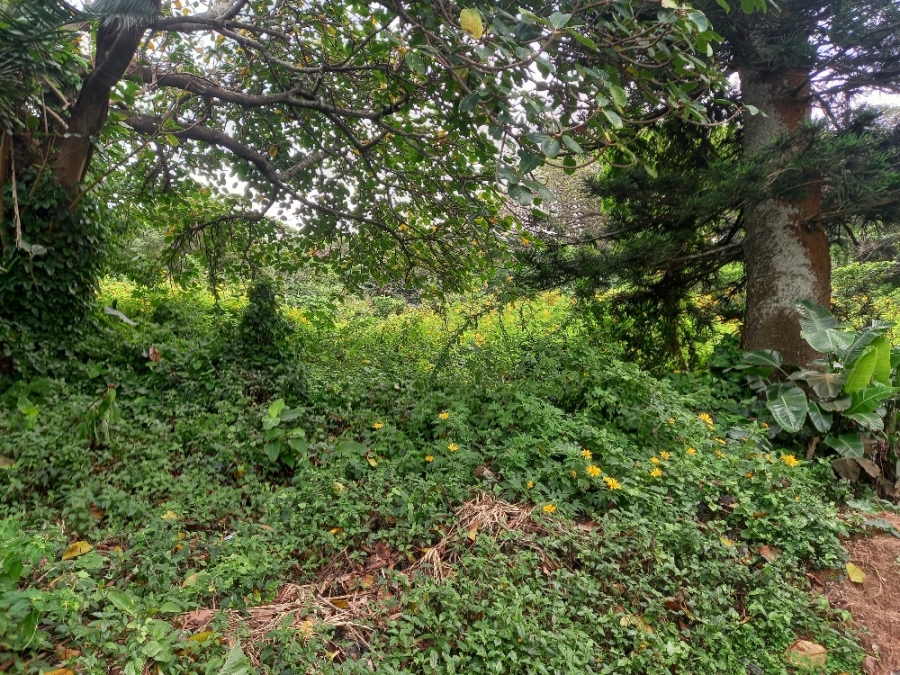 0 Bedroom Property for Sale in Blythedale KwaZulu-Natal