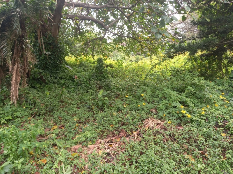 0 Bedroom Property for Sale in Blythedale KwaZulu-Natal