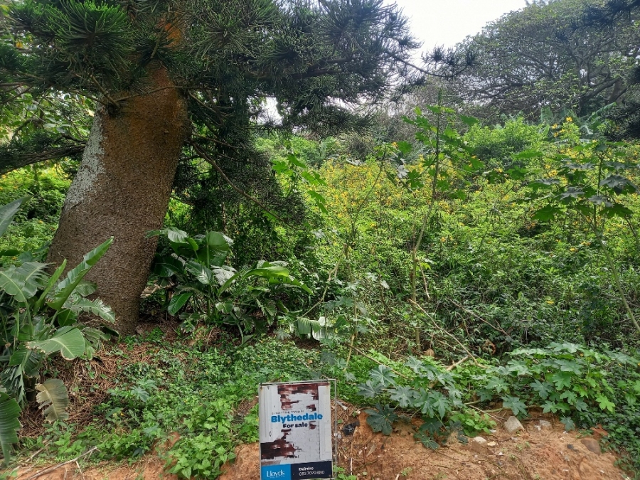 0 Bedroom Property for Sale in Blythedale KwaZulu-Natal