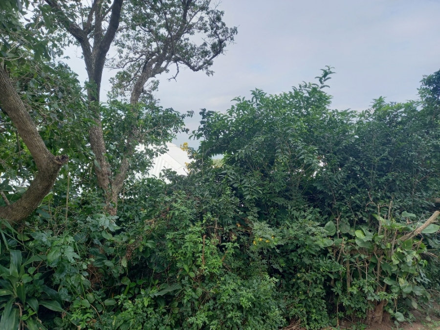 0 Bedroom Property for Sale in Blythedale KwaZulu-Natal