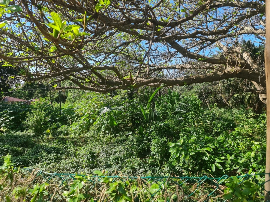 0 Bedroom Property for Sale in Blythedale KwaZulu-Natal