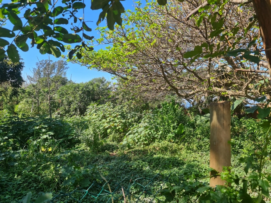 0 Bedroom Property for Sale in Blythedale KwaZulu-Natal