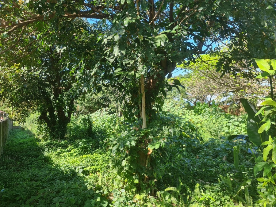 0 Bedroom Property for Sale in Blythedale KwaZulu-Natal