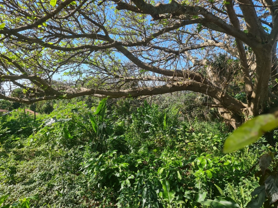 0 Bedroom Property for Sale in Blythedale KwaZulu-Natal