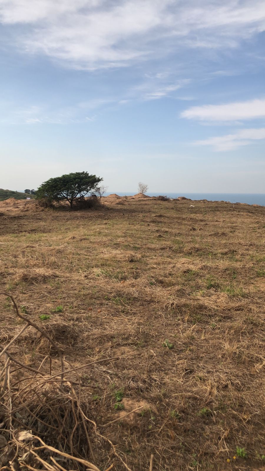 0 Bedroom Property for Sale in Seaton Estate KwaZulu-Natal