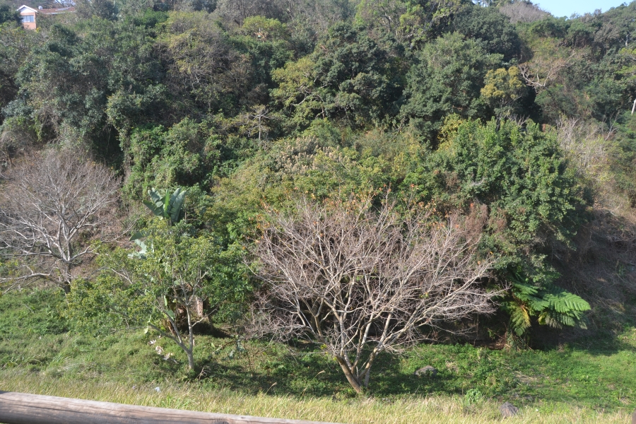 2 Bedroom Property for Sale in Freeland Park KwaZulu-Natal