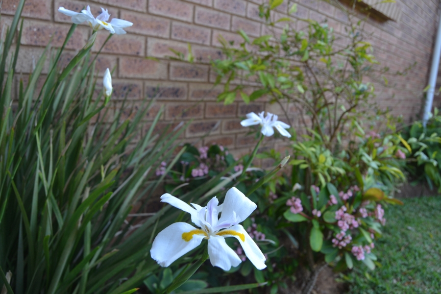 2 Bedroom Property for Sale in Freeland Park KwaZulu-Natal