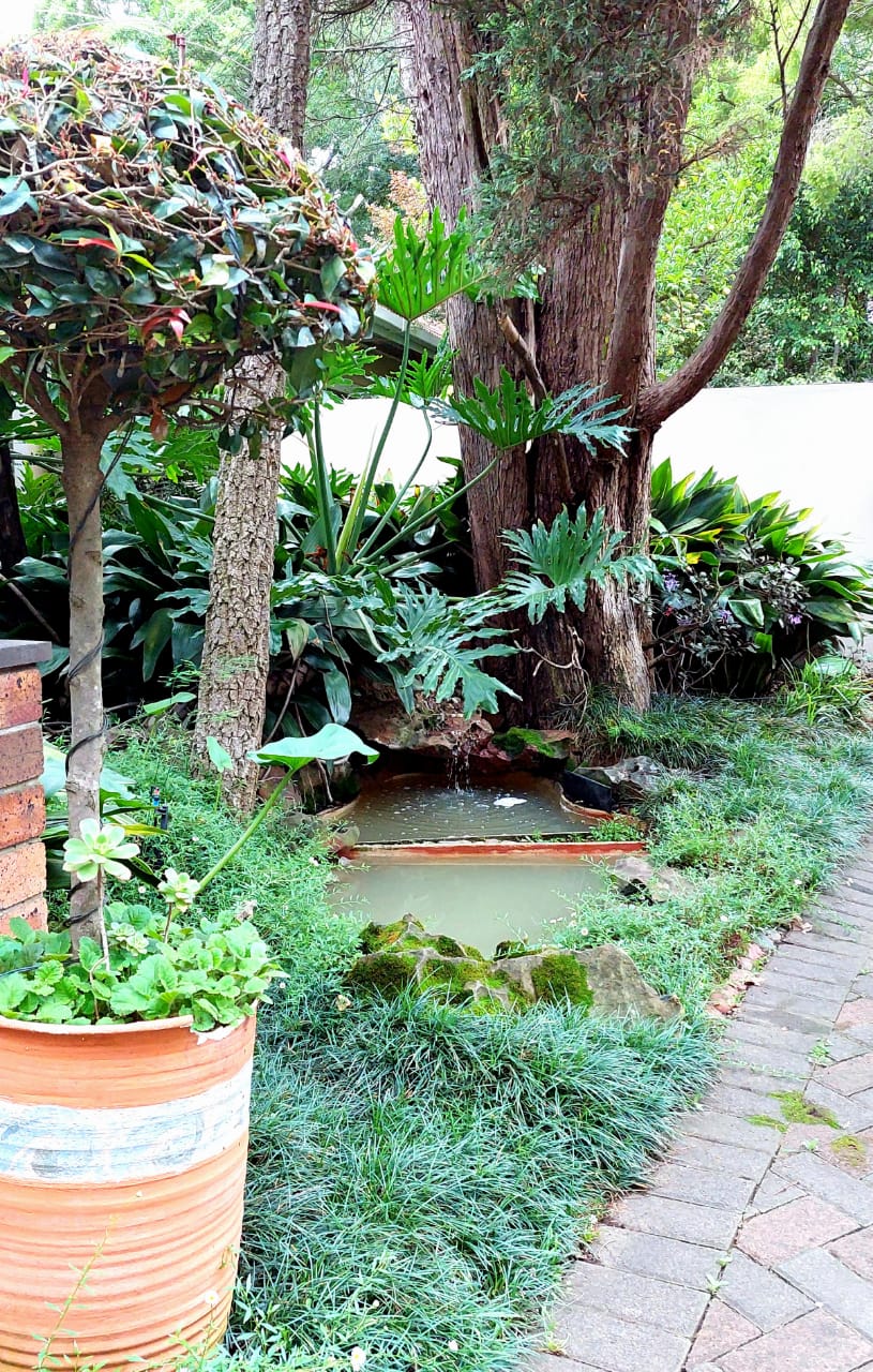 4 Bedroom Property for Sale in Dundee KwaZulu-Natal