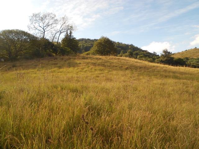 0 Bedroom Property for Sale in Balgowan KwaZulu-Natal