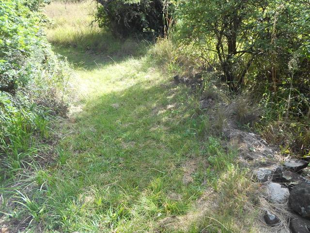 0 Bedroom Property for Sale in Balgowan KwaZulu-Natal