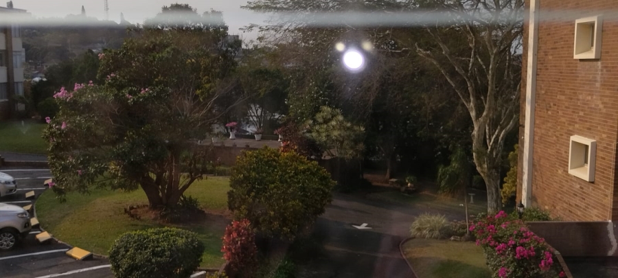 To Let 2 Bedroom Property for Rent in Musgrave KwaZulu-Natal