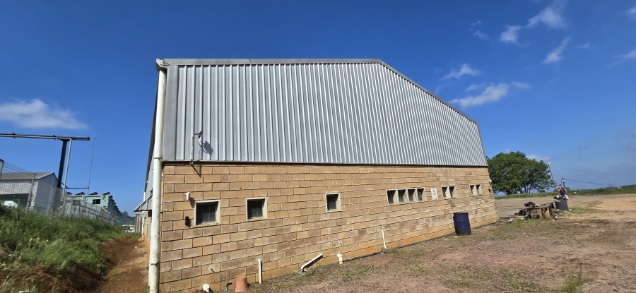 To Let Commercial Property for Rent in Waterfall KwaZulu-Natal