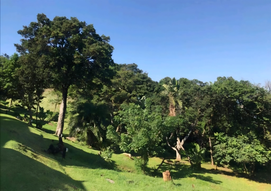 3 Bedroom Property for Sale in Banners Rest KwaZulu-Natal