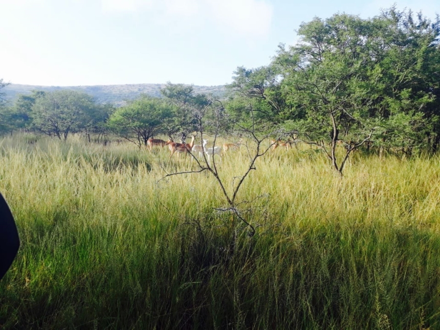 4 Bedroom Property for Sale in Vryheid KwaZulu-Natal
