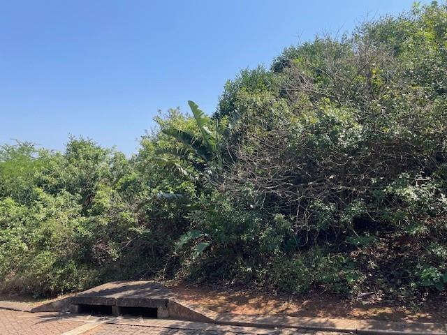 0 Bedroom Property for Sale in Westbrook KwaZulu-Natal