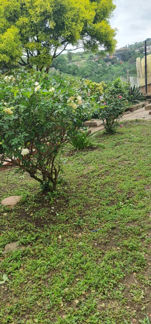 10 Bedroom Property for Sale in Clare Hills KwaZulu-Natal