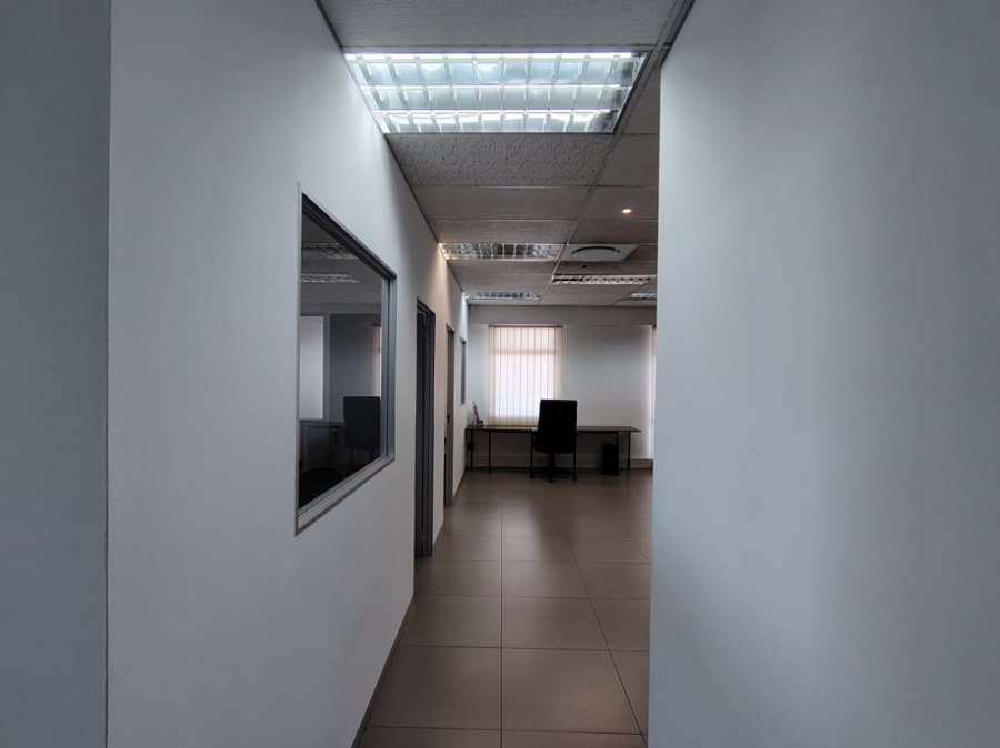 To Let commercial Property for Rent in Bulwer KwaZulu-Natal
