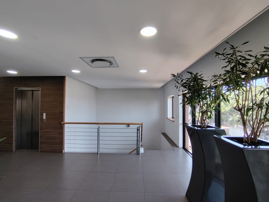 To Let commercial Property for Rent in Bulwer KwaZulu-Natal
