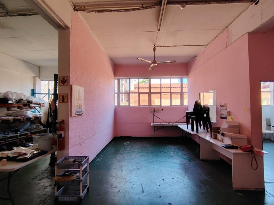 To Let commercial Property for Rent in Umbilo KwaZulu-Natal