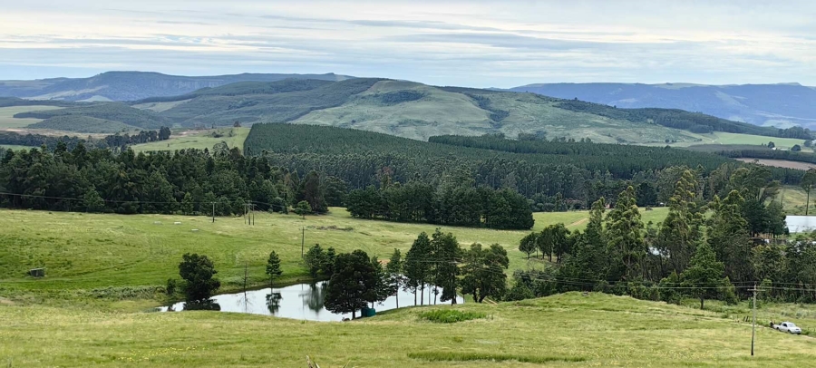 12 Bedroom Property for Sale in Howick Rural KwaZulu-Natal