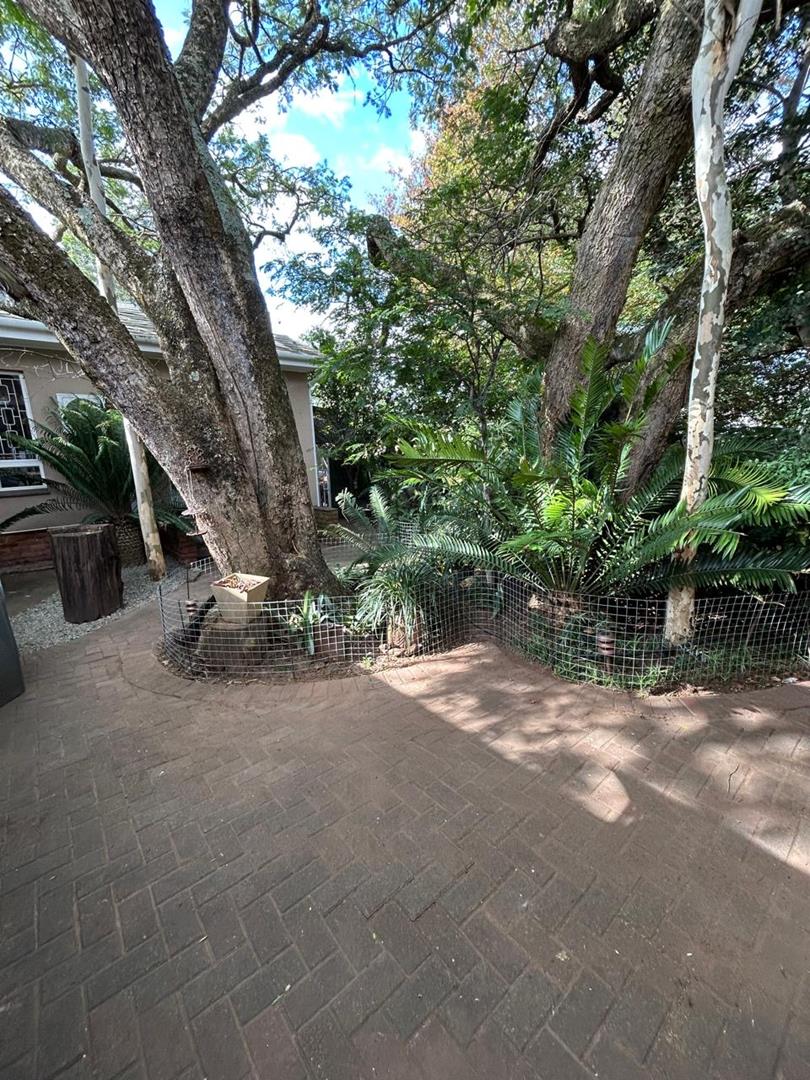 4 Bedroom Property for Sale in Dundee KwaZulu-Natal
