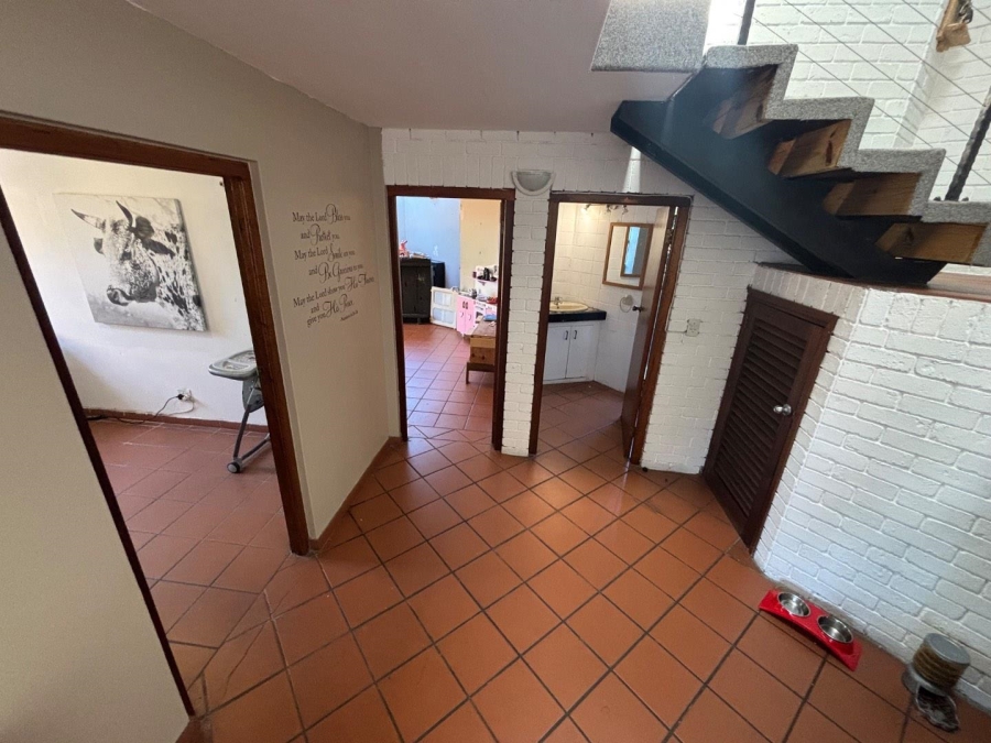 To Let 4 Bedroom Property for Rent in Westville KwaZulu-Natal