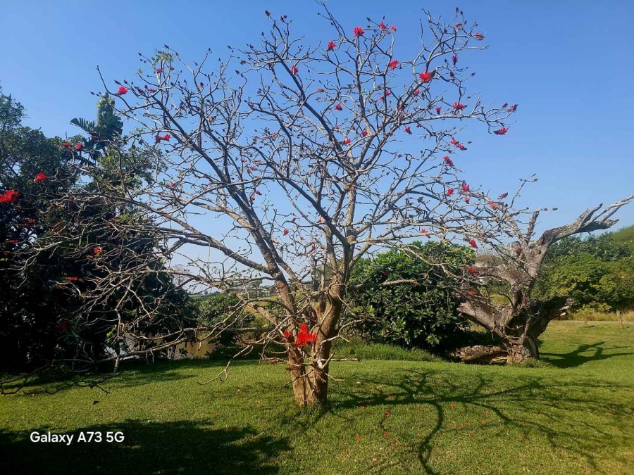 0 Bedroom Property for Sale in Palm Lakes Estate KwaZulu-Natal