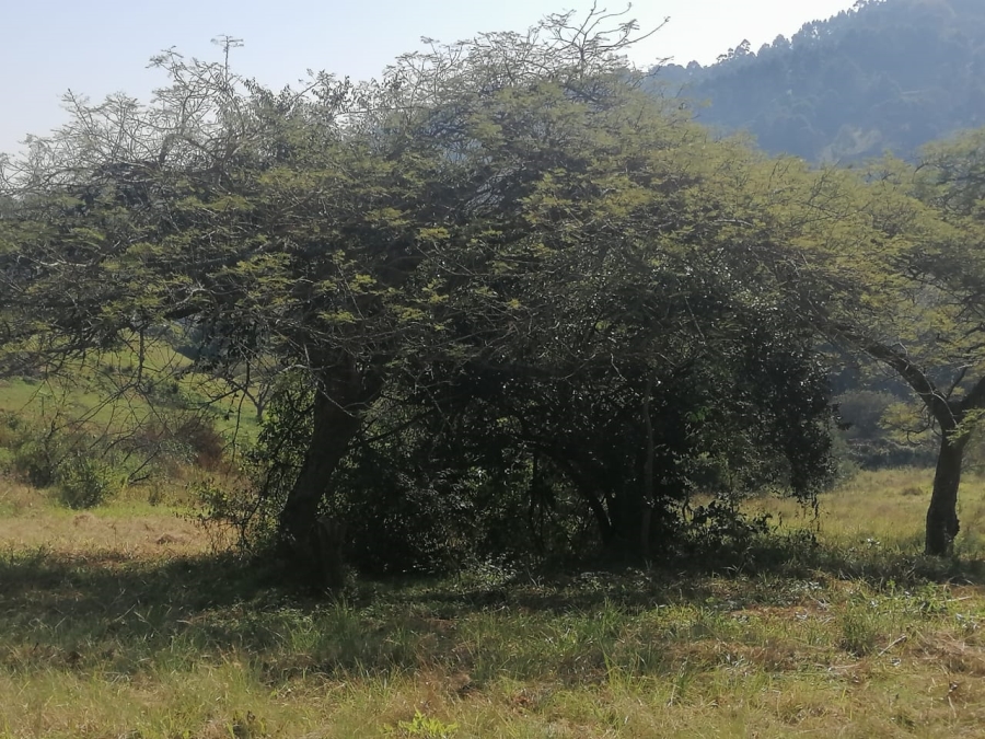 Commercial Property for Sale in Drummond KwaZulu-Natal