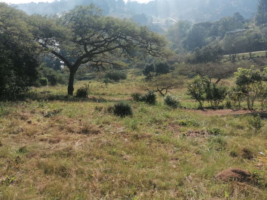 Commercial Property for Sale in Drummond KwaZulu-Natal