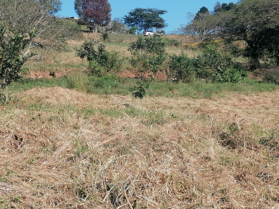 Commercial Property for Sale in Drummond KwaZulu-Natal