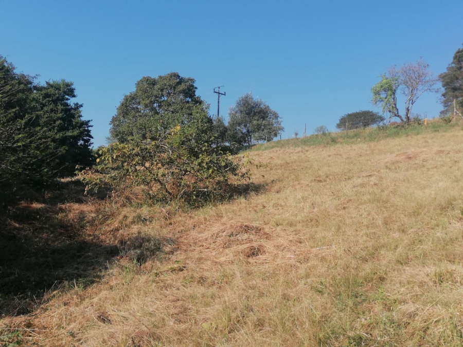 Commercial Property for Sale in Drummond KwaZulu-Natal