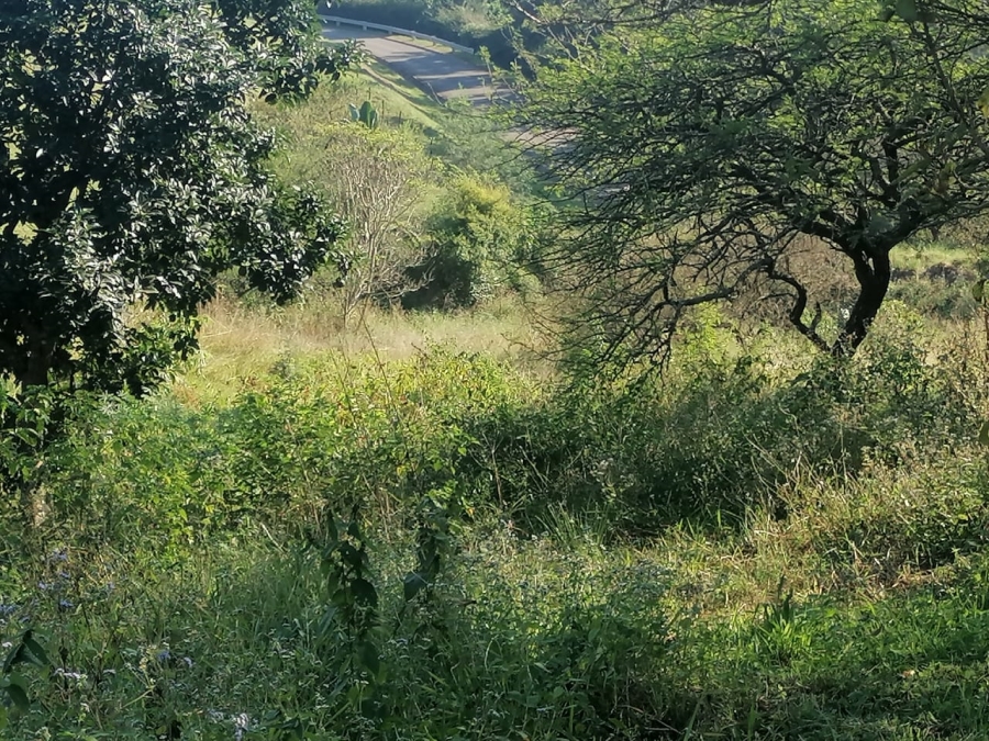 Commercial Property for Sale in Drummond KwaZulu-Natal