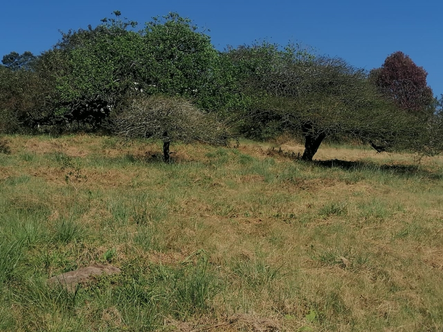 Commercial Property for Sale in Drummond KwaZulu-Natal