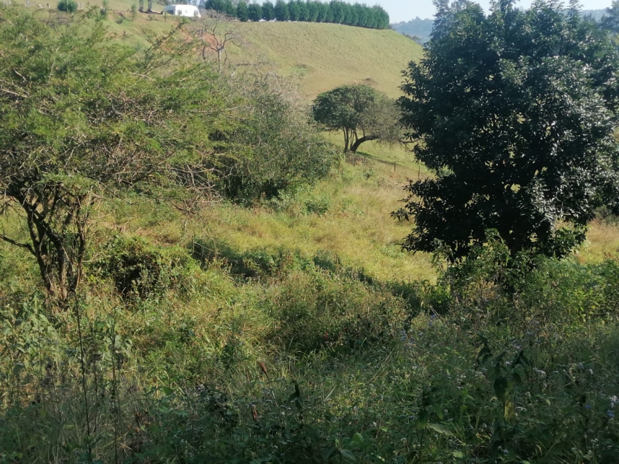 Commercial Property for Sale in Drummond KwaZulu-Natal